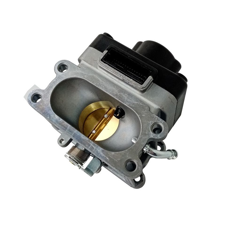 Блок управления дроссельной заслонкой H765i/170310043-0001