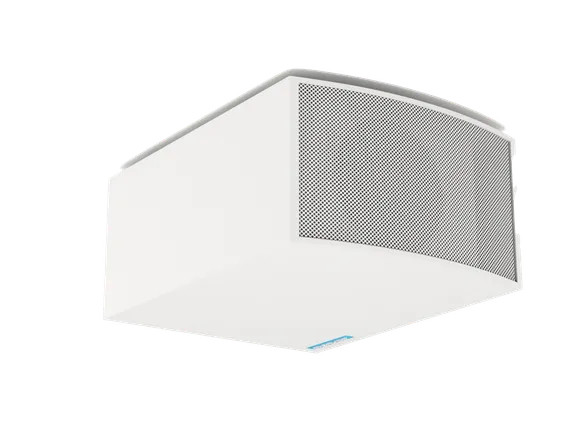 CVGAUDIO SUBone model C-6W настенный сабвуфер, мощность 80W(RMS)/160W(max)