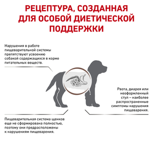 Корм сухой Royal Canin SATIETY SMALL DOG CANINE для щенков до 1 года, щенных и лактирующих сук весом до 25 кг при нарушениях пищеварения