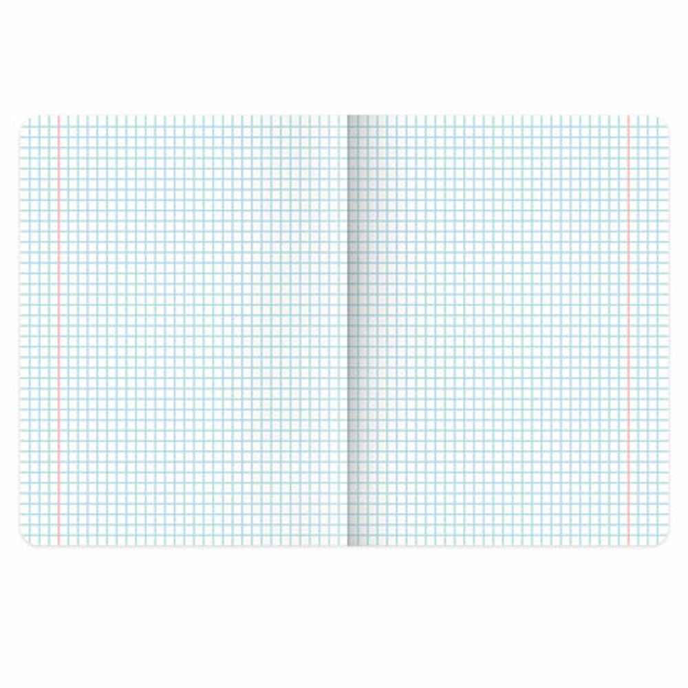 Тетради предметные, КОМПЛЕКТ 12 ПРЕДМЕТОВ, 48 л., TWIN лак, BRAUBERG "ASIA", 405174