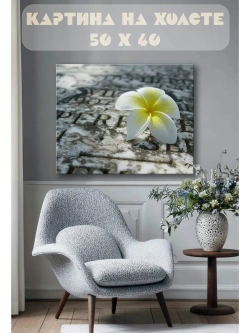 Картина на стену 40 X 50 Цветок франжипани