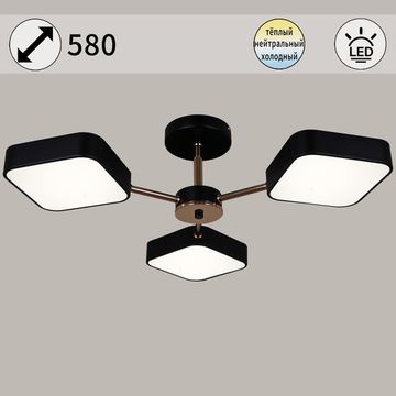 03360-0.3-03 BK+FGD светильник потолочный