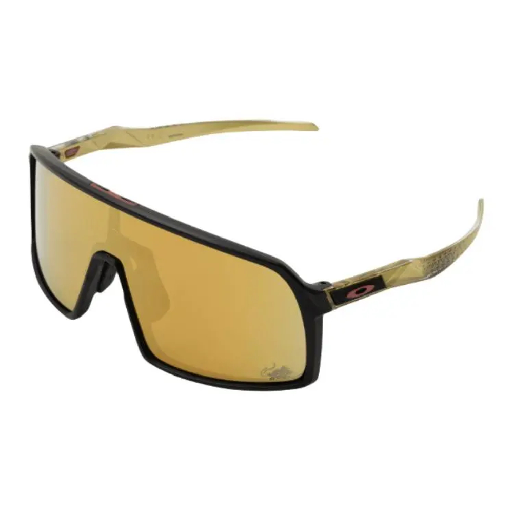 Oakley Plastic Irregular Shape Очки