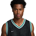 Баскетбольная джерси Nike Dri-FIT DNA Giannis T-shirt Black