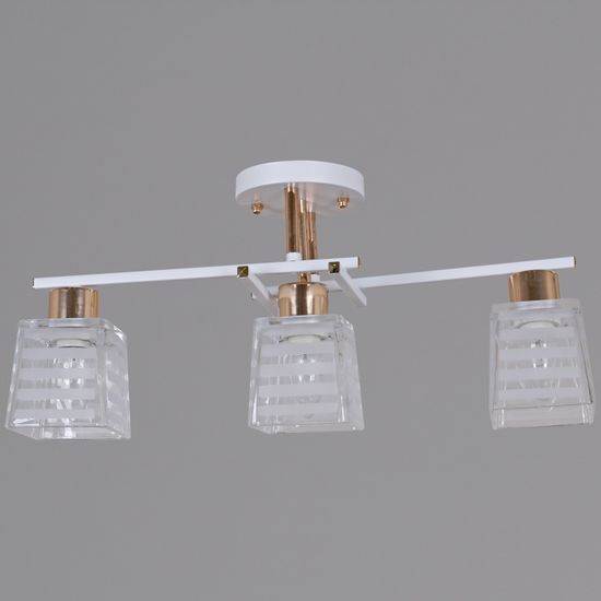 09260-0.3-03 WH+FG светильник потолочный