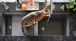 Смеситель SCHOCK Conos Pro нерж.сталь