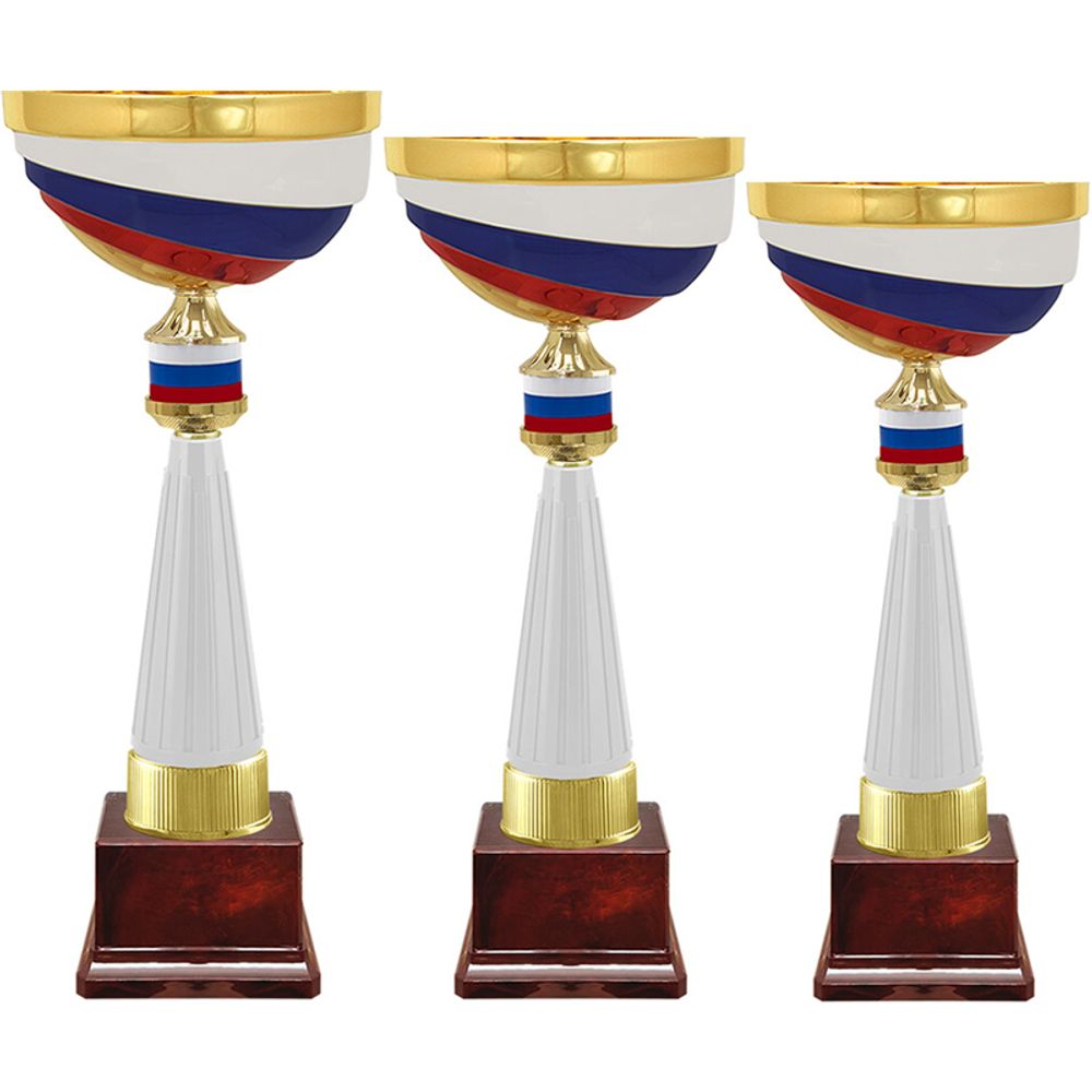 Кубок Россия 4652-139