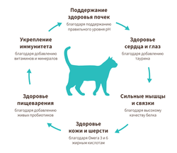 Grandorf Probiotic Sterilized (4 вида мяса)