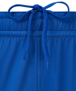 Шорты двухсторонние JÖGEL DIVISION PerFormDRY Double-side Shorts, синий/белый