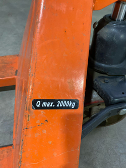 Рохля оранжевая 2000 (1)