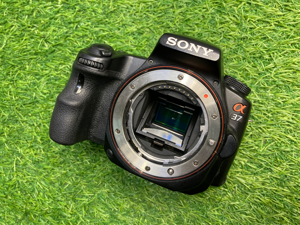 Sony A37 + DT 18-70mm 3.5-5.6 Macro 24.000 кадров