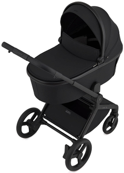 Детская коляска Anex Flo 2 в 1 Lungo