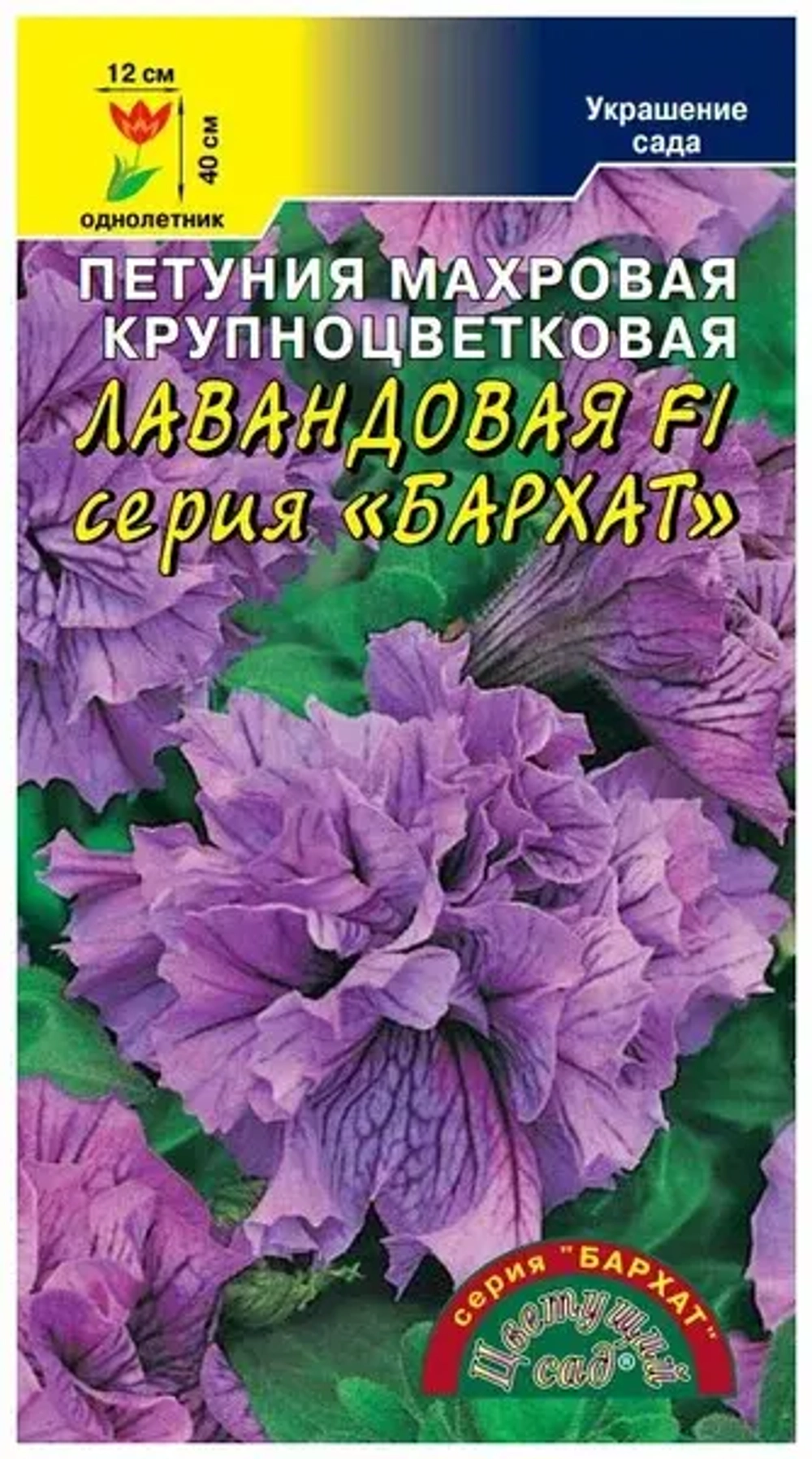 Петуния Поиск