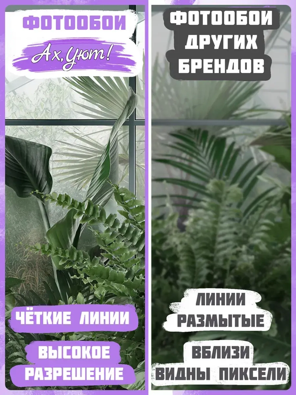 3D Фотообои окно в туманный тропический лес