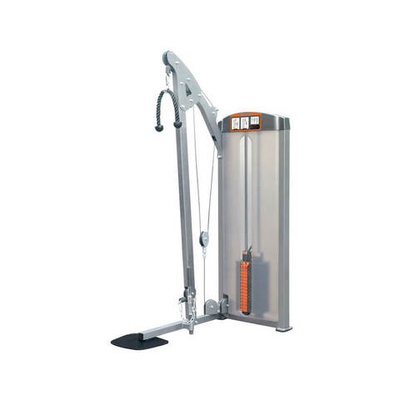 Impulse IF8123 бицепс / трицепс стоя, профессиональный тренажер