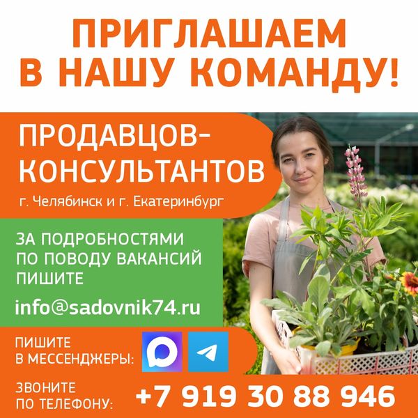 Приглашаем в нашу команду! Приглашаем в нашу команду!