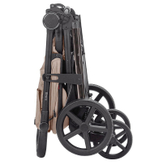 Коляска прогулочная Carrello Bravo Plus CRL-5515, Ivory Beige