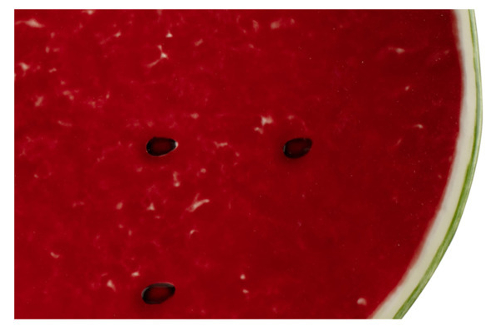 Тарелка закусочная Bordallo Pinheiro Арбуз 21см