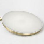 Торшер светодиодный Lussole LSP-0904