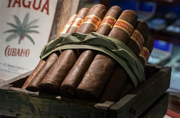 Yagua от JC Newman – сигара из далёкого прошлого