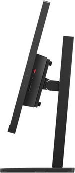 Монитор 23,8" Lenovo ThinkVision E24q-30
