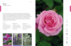 The Flower Thesaurus: Colourful Pairings and Plant Ideas for the Creative Gardener