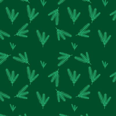 Green spruce branches on a dark green background.