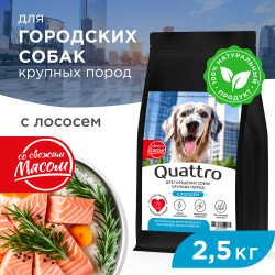Корм сухой для взрослых собак крупных пород, премиум полнорационный комплекс, для городских собак, с лососем, 2,5 кг, QUATTRO