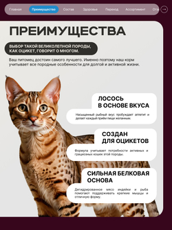 Корм сухой для взрослых кошек породы Оцикет, с лососем, 400 гр, QUATTRO