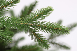 Ель искусственная Царь елка Адель 240 см АДЛ-240