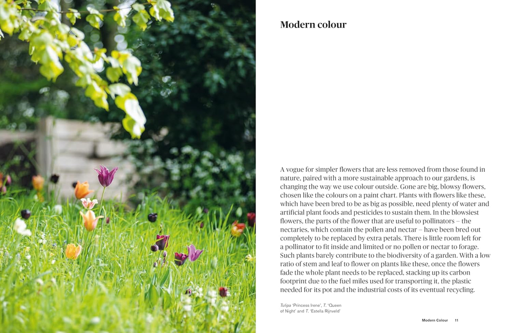Colour in the Garden: Stylish ideas for year-round colour