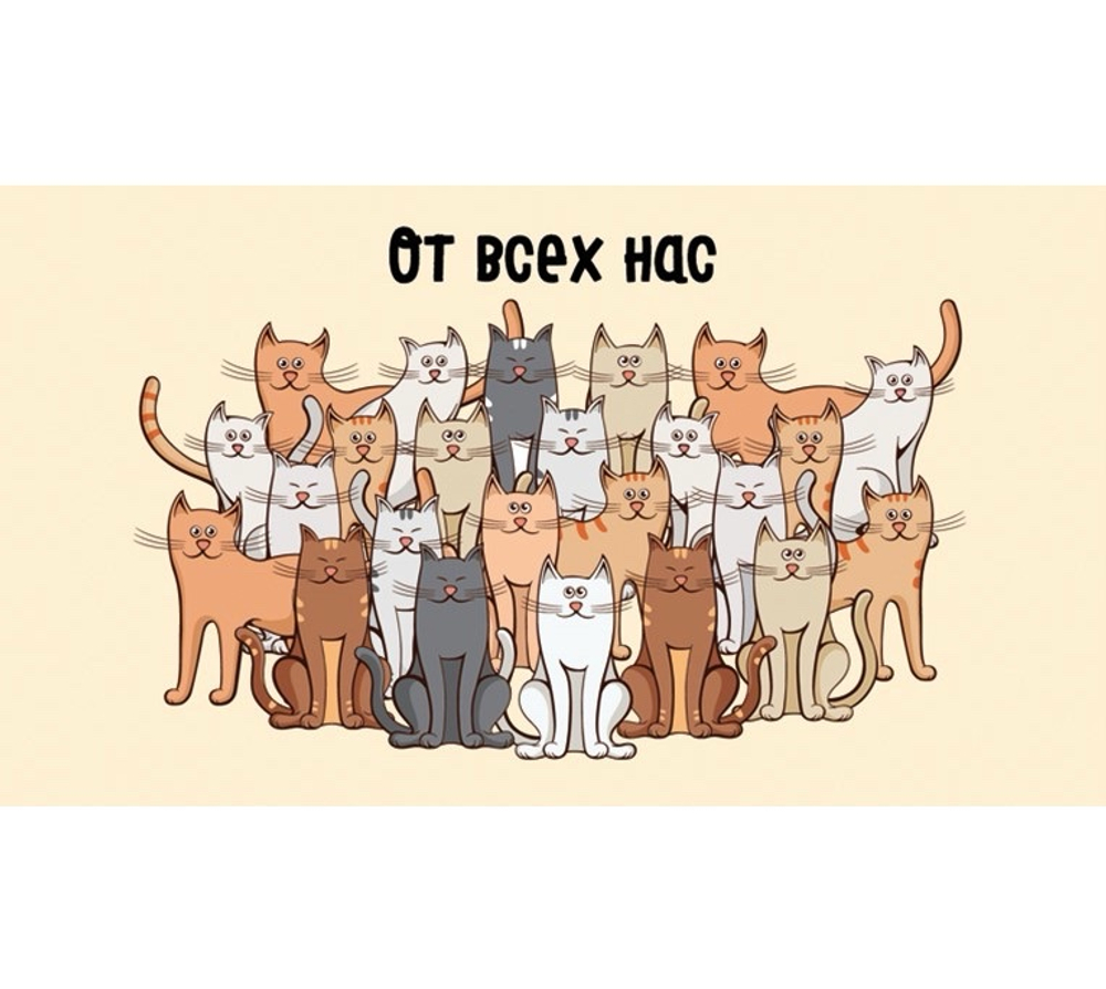 Конверт для денег, «От всех нас» (котики)