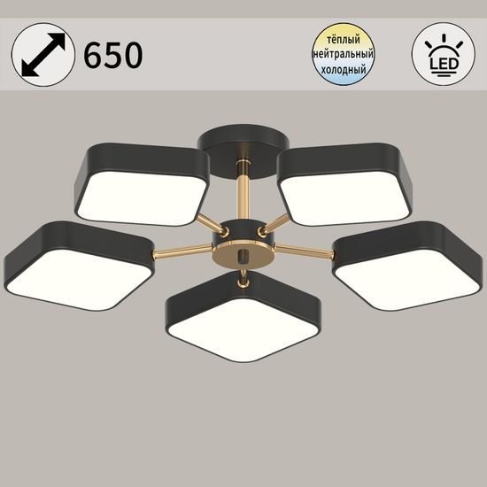 03360-0.3-05 BK+FGD светильник потолочный