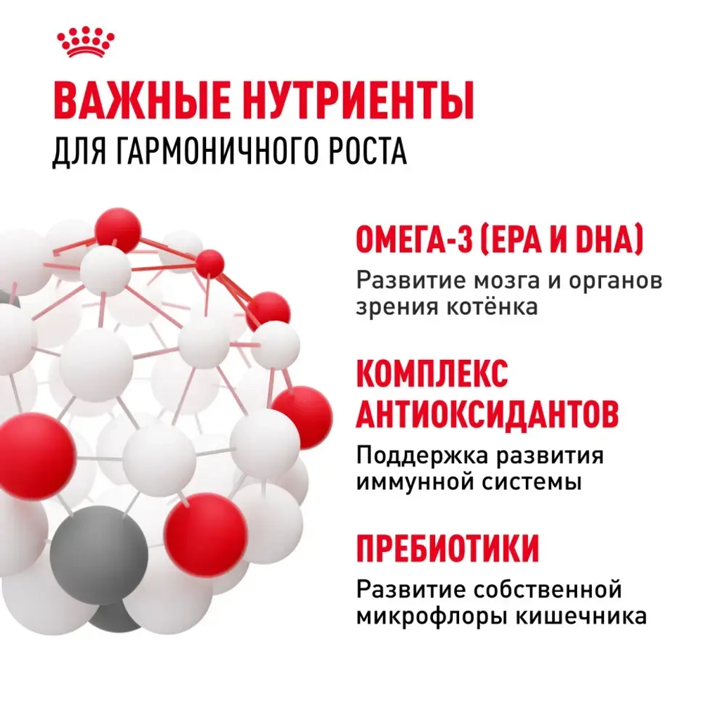 Royal canin kitten сухой корм для котят в период второй фазы роста до 12 месяцев - 1,2 кг