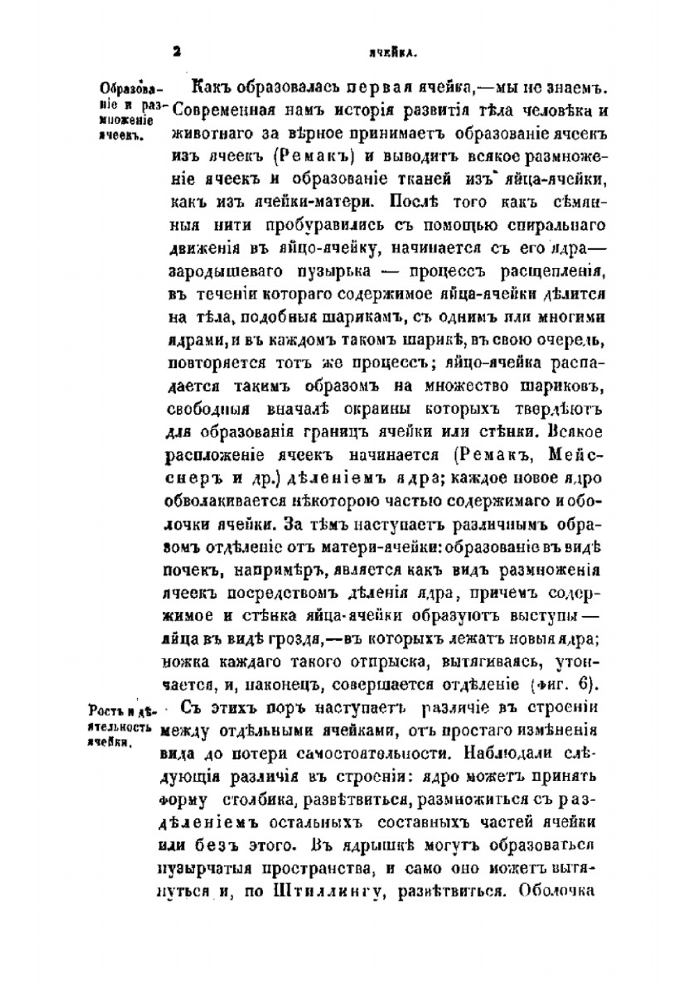 Руководство к общей патологической анатомии тканей человеческого тела | Александер Винтнер