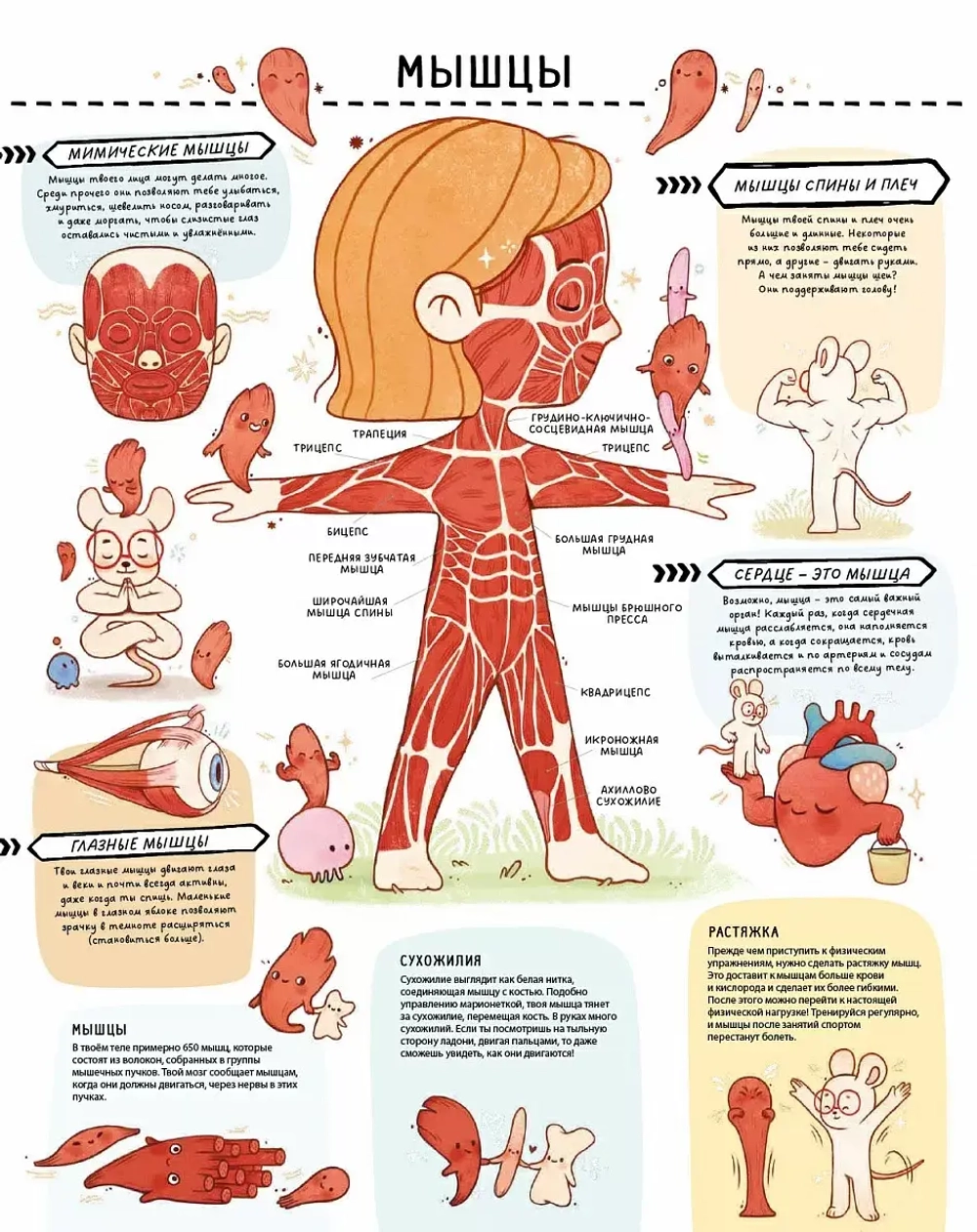 Книга с секретами. Секреты тела человека