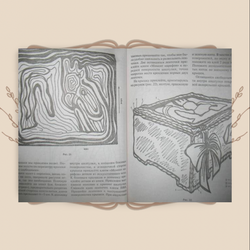 Пряжа и иголка - оригинальная техника рукоделия. Е. Дмитриева-Макерова