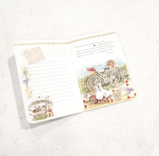 Блокнот 24 листа "В летнем саду", линейка