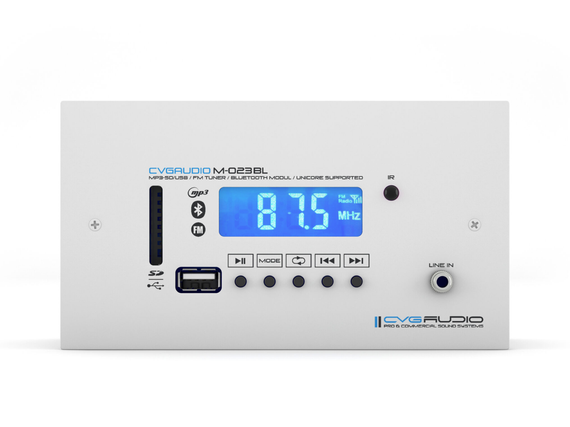 CVGAUDIO M-023W мультимедийный комбинированный источник сигнала MP3/FLAC плеер (USD/SDcard)