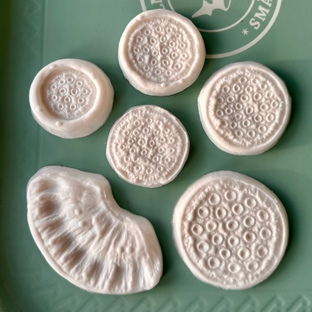 Набор Молдов для коробочки лотоса