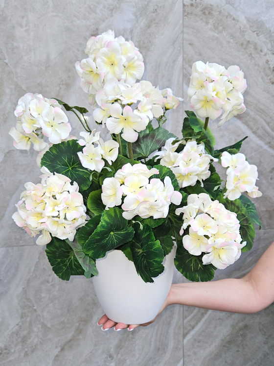 Искусственные цветы Герань белого цвета густая 40см в кашпо