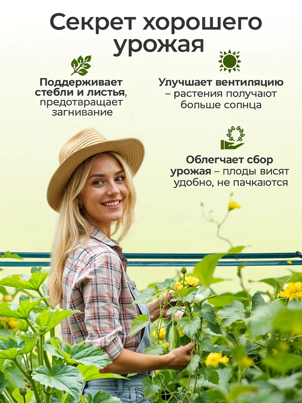 Шпалера для огурцов и гороха