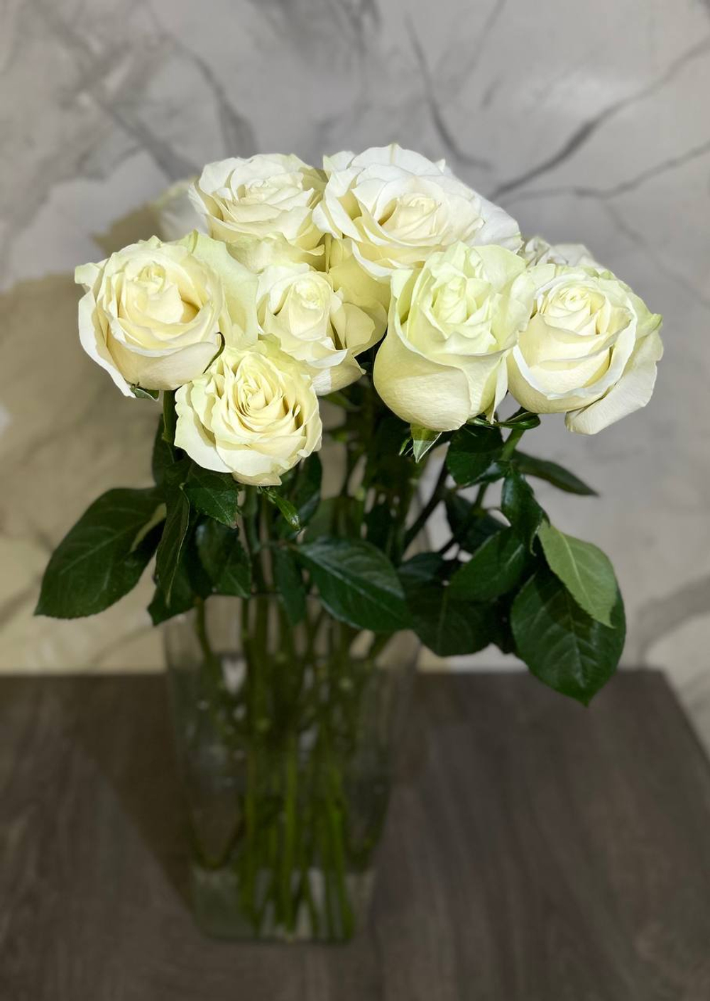 Премиальная эквадорская белая роза Mondial 70 см