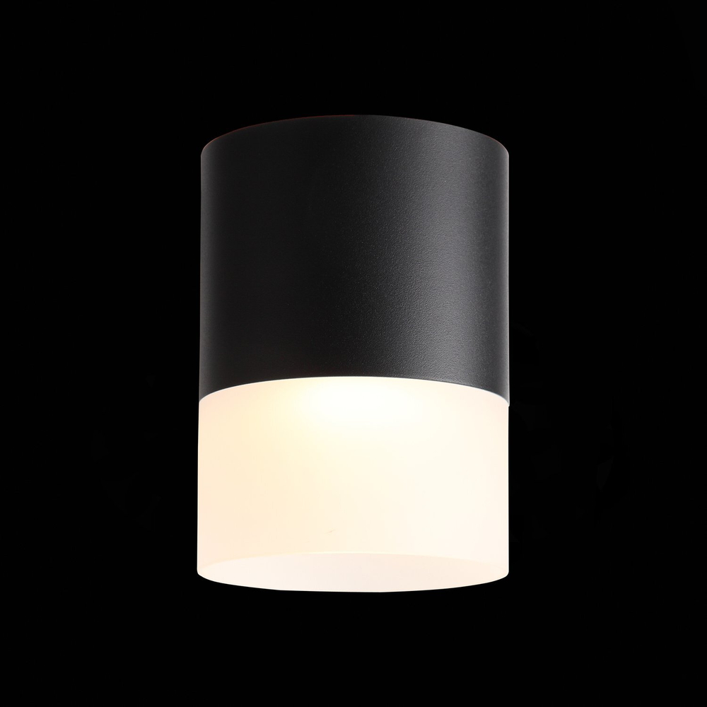 ST100.402.15 Светильник потолочный Черный LED 1*15W 3000K 1 170Lm Ra&gt;80 120° D118xH150 170-240VV Накладные светильники