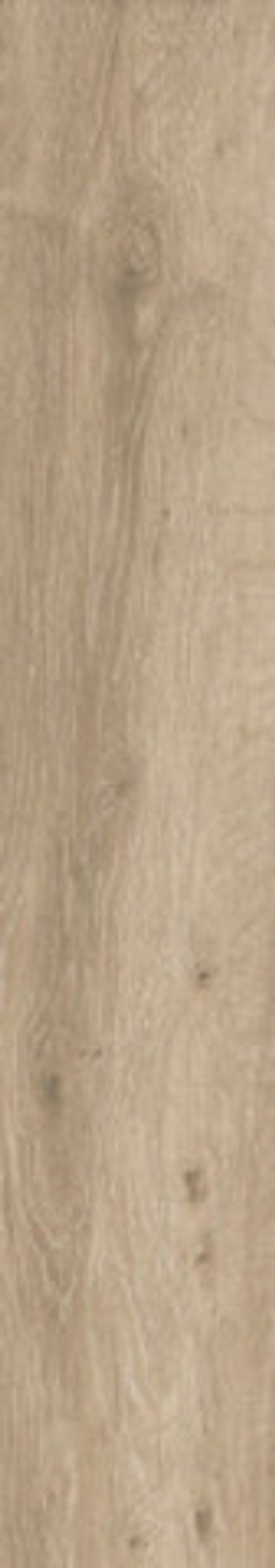 Керамогранит BASE FOREST NATURAL Matt 120