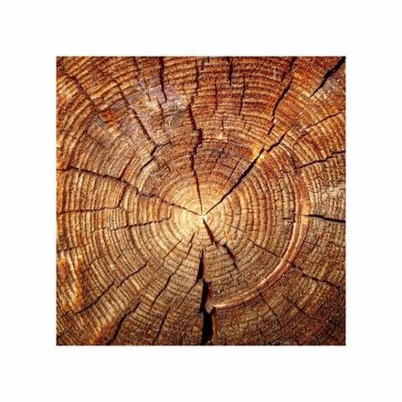 Фотофон одиночный из пластика ПВХ для предметной съемки Спил дерева 45х45 см