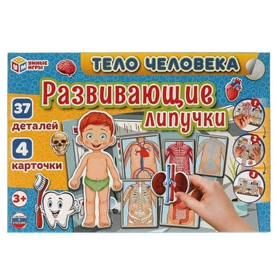 Игра с липучками "Тело человека" (Умные игры)