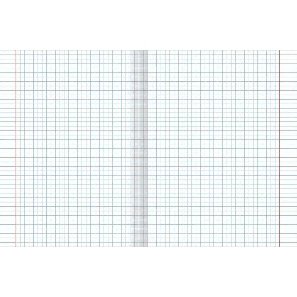 Тетрадь предметная "Английский язык. MadnessMalina", клетка, А5, 48л., справ. материал, скрепка, обл. мелов. картон, soft-touch, выб. лак, Канц-Эксмо