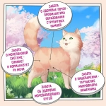 Корм для кошек ZILLII (Зилли) Cat Urinary Care 10кг индейка сухой для домашних кошек для профилактике образования мочевых камней струвитного типа