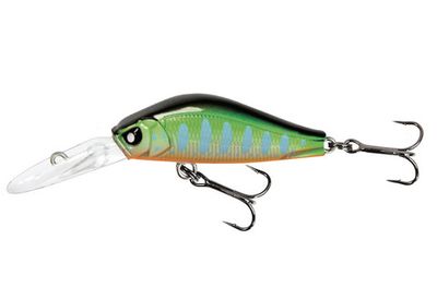 Basara 35LBF